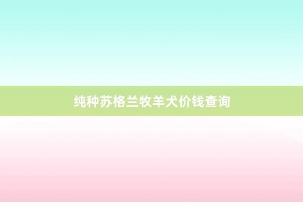 纯种苏格兰牧羊犬价钱查询