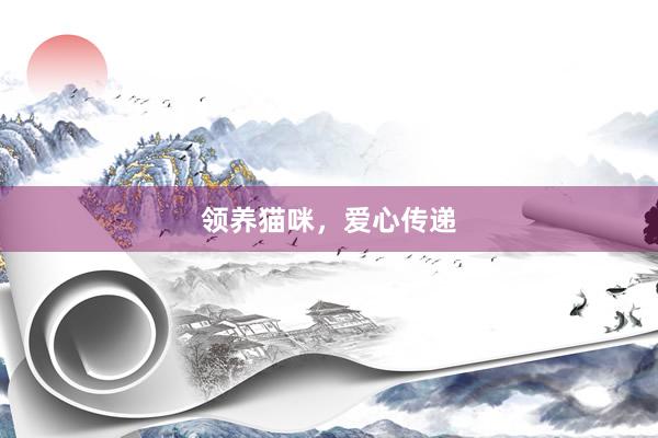 领养猫咪，爱心传递