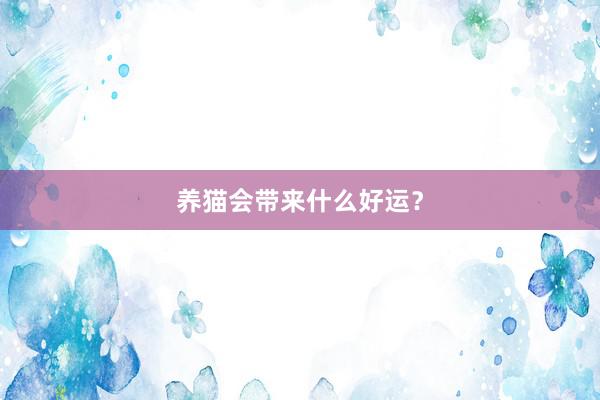 养猫会带来什么好运?